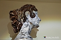 VBS_7973 - Museo Eugenio Guglielminetti - Scultura e Scenografia